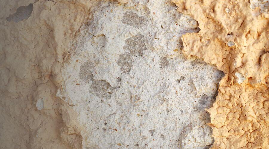 Why choose water damage restoration service for storm damage restoration in Neptune